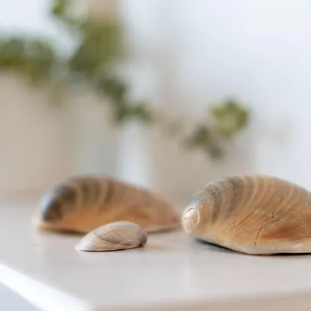 Zur Wiese 17 Lupine アパート Bosau